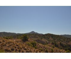 Parcela en Venta en Abanillas, Murcia