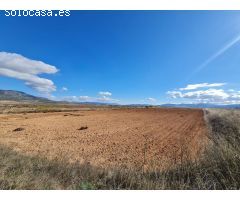 Parcela en Venta en Yecla, Murcia