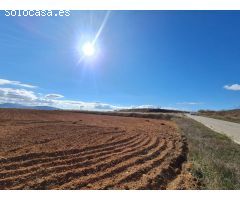 Parcela en Venta en Yecla, Murcia