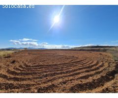 Parcela en Venta en Yecla, Murcia