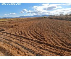 Parcela en Venta en Yecla, Murcia