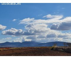 Parcela en Venta en Yecla, Murcia