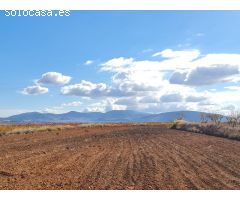 Parcela en Venta en Yecla, Murcia