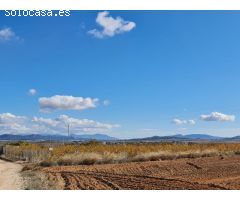 Parcela en Venta en Yecla, Murcia