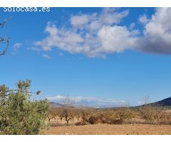 Parcela en Venta en Yecla, Murcia