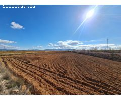 Parcela en Venta en Yecla, Murcia