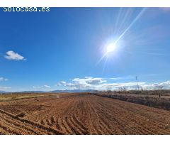 Parcela en Venta en Yecla, Murcia