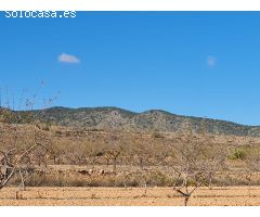 Parcela en Venta en Yecla, Murcia