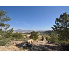 Parcela en Venta en Alquerías, Murcia