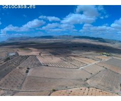 Parcela en Venta en Yecla, Murcia