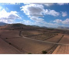 Parcela en Venta en Yecla, Murcia