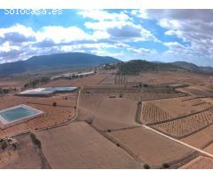 Parcela en Venta en Yecla, Murcia