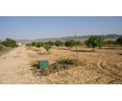 Parcela en Venta en Yecla, Murcia
