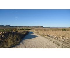 Parcela en Venta en Yecla, Murcia
