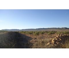 Parcela en Venta en Yecla, Murcia