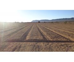 Parcela en Venta en Yecla, Murcia