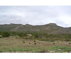 Parcela en Venta en Yecla, Murcia