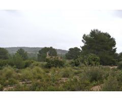 Parcela en Venta en Yecla, Murcia