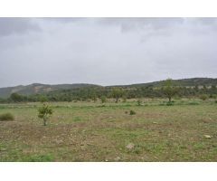 Parcela en Venta en Yecla, Murcia