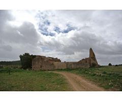 Parcela en Venta en Yecla, Murcia