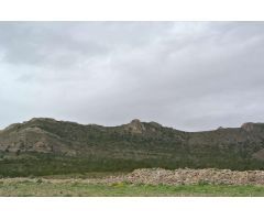 Parcela en Venta en Yecla, Murcia