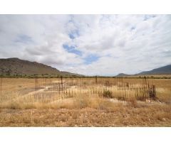 Parcela en Venta en Yecla, Murcia