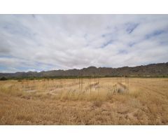 Parcela en Venta en Yecla, Murcia