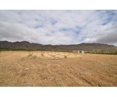 Parcela en Venta en Yecla, Murcia