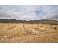 Parcela en Venta en Yecla, Murcia