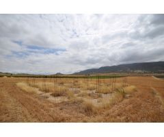 Parcela en Venta en Yecla, Murcia