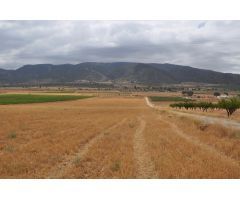 Parcela en Venta en Yecla, Murcia