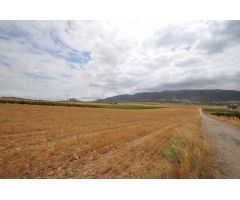 Parcela en Venta en Yecla, Murcia