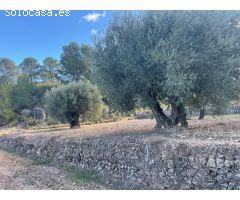 Parcela en Venta en Alquerías, Murcia