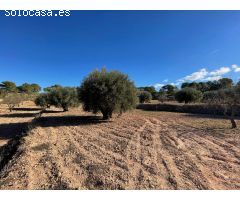 Parcela en Venta en Alquerías, Murcia