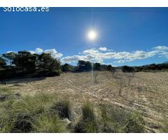 Parcela en Venta en Alquerías, Murcia