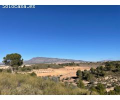 Parcela en Venta en Alquerías, Murcia