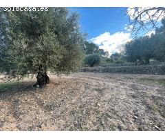 Parcela en Venta en Alquerías, Murcia