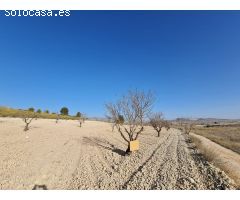 Parcela en Venta en Jumilla, Murcia