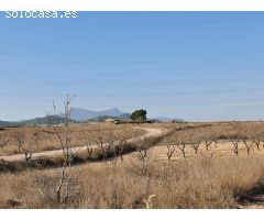 Parcela en Venta en Jumilla, Murcia