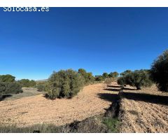 Parcela en Venta en Alquerías, Murcia