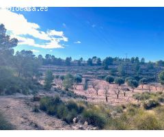 Parcela en Venta en Alquerías, Murcia