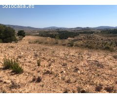 Parcela en Venta en Alquerías, Murcia