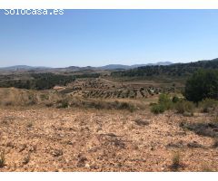 Parcela en Venta en Alquerías, Murcia