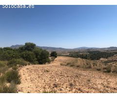 Parcela en Venta en Alquerías, Murcia