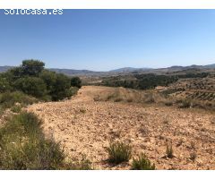 Parcela en Venta en Alquerías, Murcia