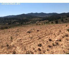 Parcela en Venta en Alquerías, Murcia