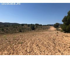 Parcela en Venta en Alquerías, Murcia