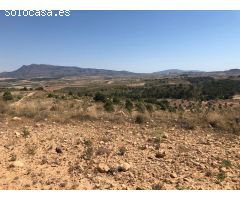 Parcela en Venta en Alquerías, Murcia