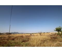 Finca rustica en Venta en Jumilla, Murcia
