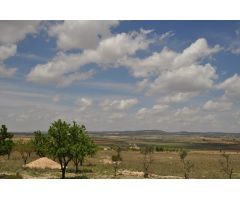 Parcela en Venta en Yecla, Murcia